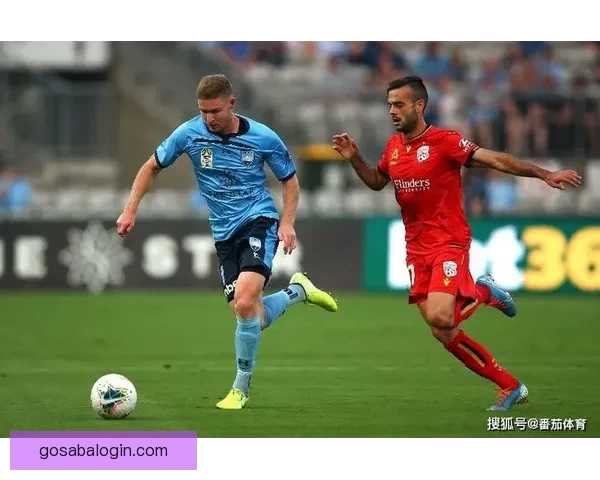 沙巴体育比分解析：全面剖析各类赛事走势与数据分析方法