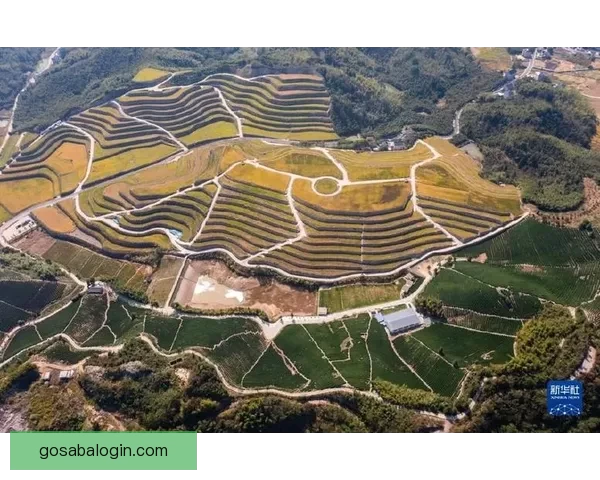 沙巴体育全面发展与全民健身推动区域体育产业升级