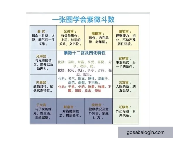 布朗通过命理学与占星术了解队友生肖提升沟通效率探索另类领导力