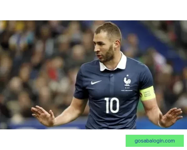 意大利足协发布公告加图索正式卸任国家队主教练